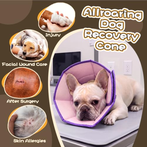 Adjustable Dog Cone for Spay (Purple / L(Neck Girth:13.39"-17.32"))