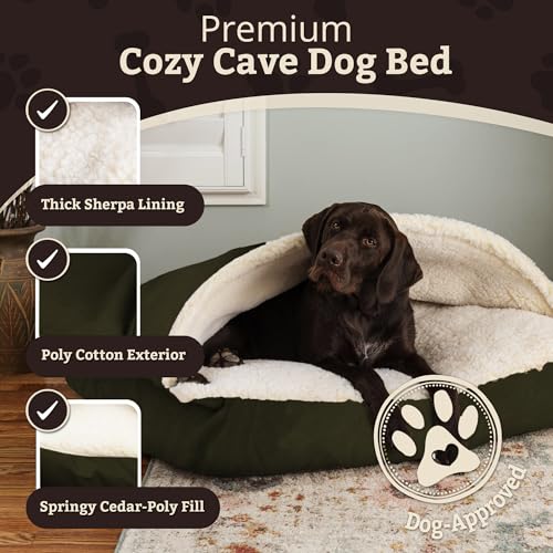 Rectangle Cozy Cave Dog Bed (Olive / Medium)