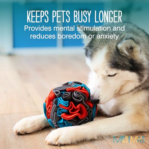 Round Snuffle Ball for Dogs