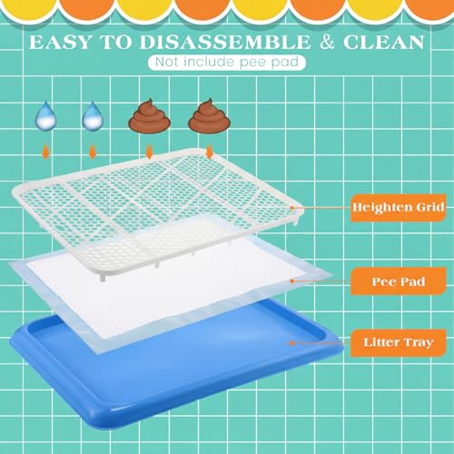1 Pcs Dog Potty Tray (Blue / 19.7 x 14.2 Inch)