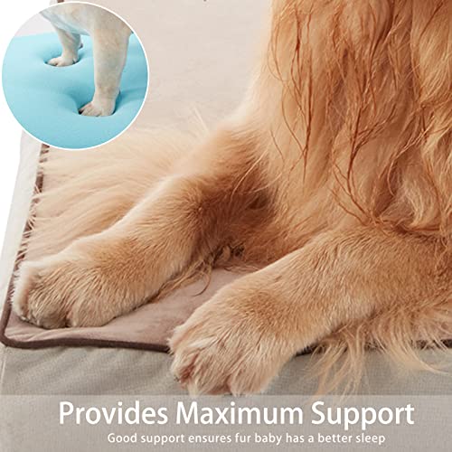 Orthopedic Memory Foam Dog Bed (Khaki Short Plush / X-Large-41"x 29" x 4")