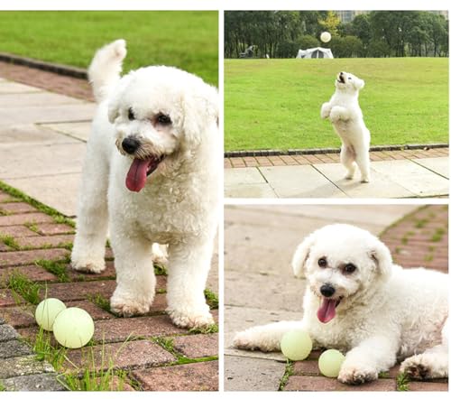 2 PCS Glowing Fetch Ball for Dogs (Luminous / 7cm (ball only))