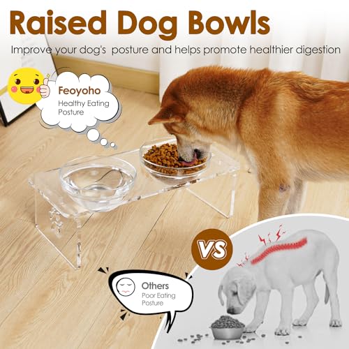 Elevated Dog Bowls for Medium Dogs (Medium Dogs-5.5" Height)