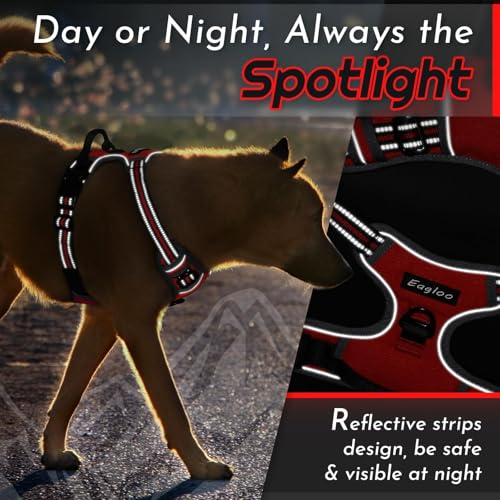 Dog Harness for Small Dogs (Small / Red)