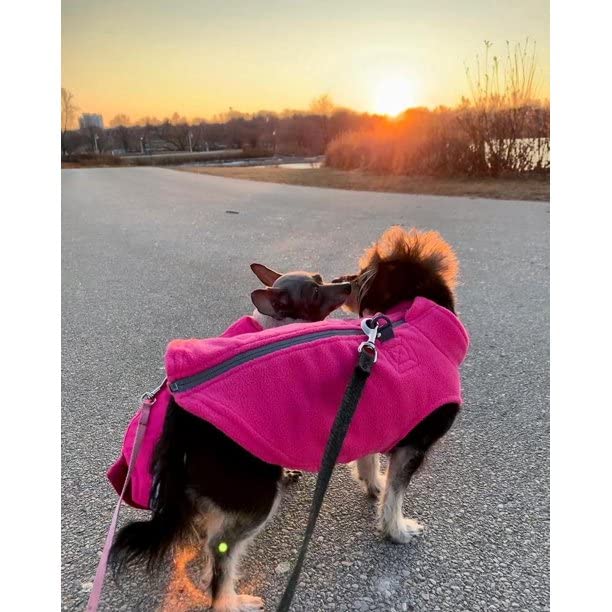Zip Up Fleece Dog Sweater (Medium chest (~17.5") / Pink)