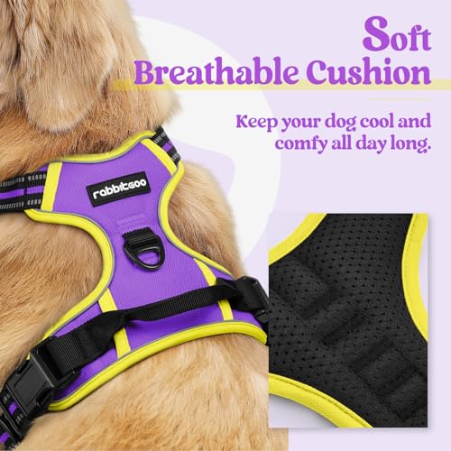 Dog Harness No Pull for Large Dogs with 2 Leash Clips (X-Large / Purple & Yellow)