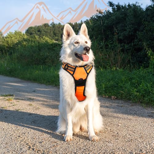 Dog Harness for Large Dogs (X-large / Orange)