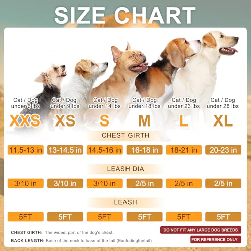 Small Dog Harness and Leash Set (XSmall(Chest Girth 13" - 14.5") / Dinosaurs Pattern)
