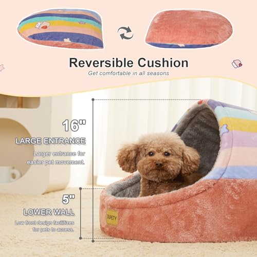 Cute Cat Beds for Indoor Cats (Large / Rainbow)