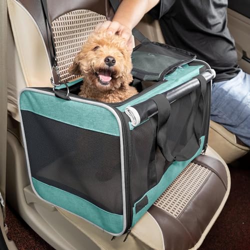 Small Dog Carrier Yorkshire Puppy Softshell Chihuahua Transport Cage (Turquoise / 18.1"L x 11.8"W x 11.8"H)