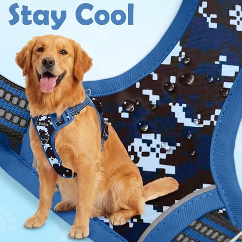 Dog Harness No Pull (Mosaic Blue / X-Large)