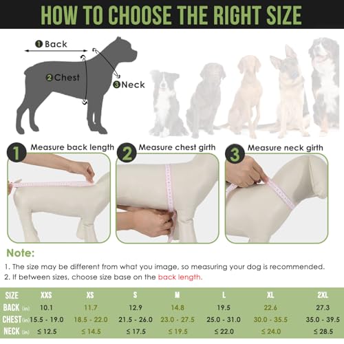 Dog Raincoat Lightweight Rain Jacket (Medium / Army Green - Ultra Light)