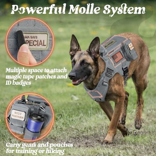 Tactical Dog Harness for Small (Grey / Small)