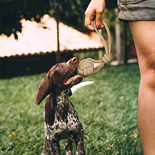 Dog Chew Toys