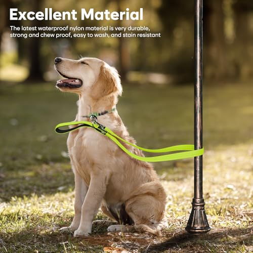 LED Dog Leash (Green)