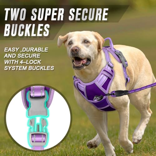 Dog Harness No Pull for Medium Sized Dog Front Back Clips (Medium(Chest:22.5-28") / Violet Purple & Purple)