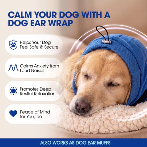 Dog Ear Muffs Noise Protection (Cobalt Blue / Large)