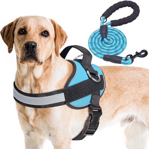 Essential Dog Harness (L / Blue)