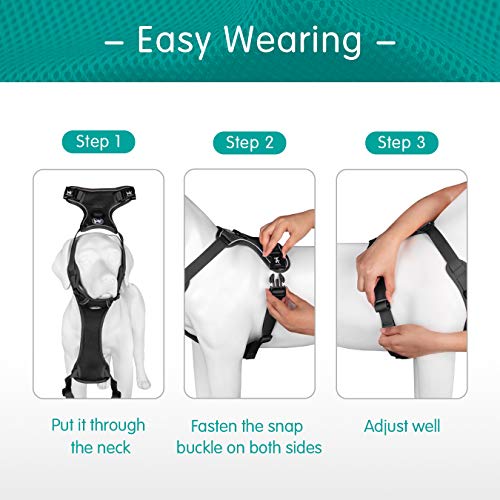 Mesh Dog Harness (XL / Black)