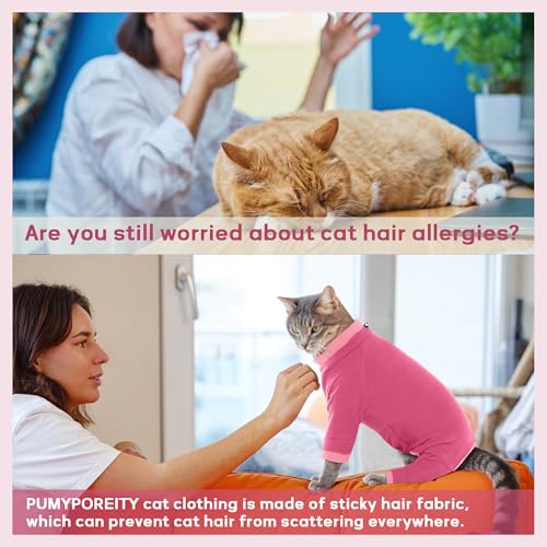 Cat Anti Licking Sweater (X-Small / Pink)