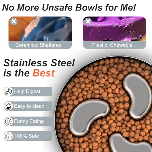 Slow Feeder Dog Bowl 1.5