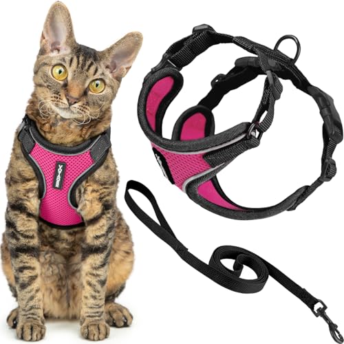 Voyager Escape (Black Trim-Fuchsia (327) / XS (Chest: 13 - 16"))
