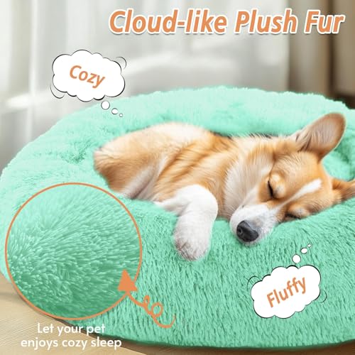 Calming Small Dog & Cat Bed for Indoor Cats (Mint Green / 20.0"L x 20.0"W x 6.0"Th)