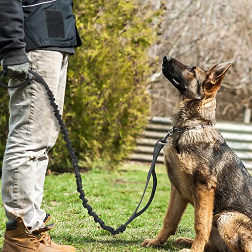 Tactical Dog Leash (Max: 6ft / Black)