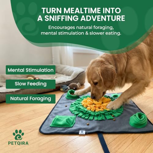 Snuffle Mat for Dogs 24 x 24 in