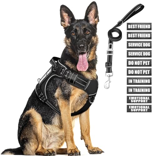 Tactical Dog Harness and Leash Set with 10 Patches for Large Dogs (X-Large / Black)