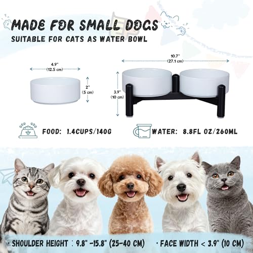 Elevated Ceramic Dog Bowl Set (Blue / 1.4 Cups)