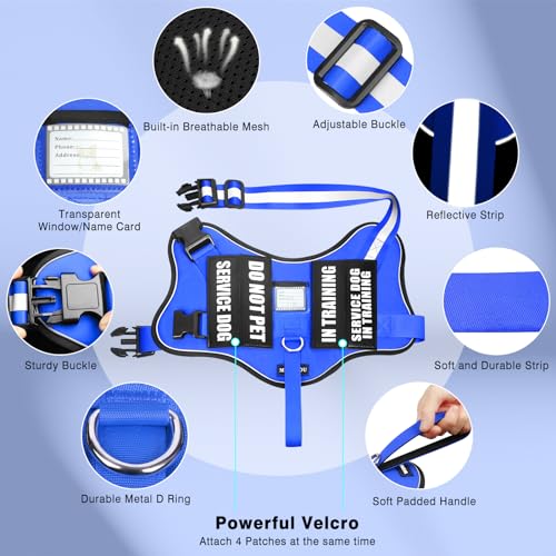 Service Dog Vest Harness and Leash Set+10 Patches (Small / Blue)