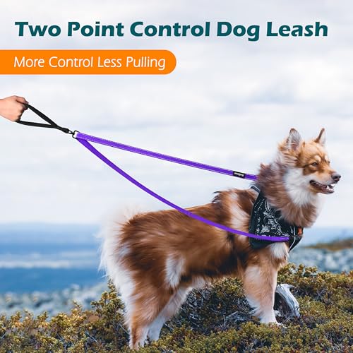 Two Point Control Dog Leash (Purple)