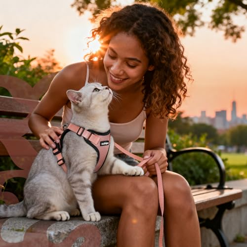 Cat Harness and Leash Set (M / Light Salmon Pink)