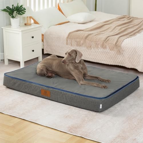Orthopedic Memory Foam Giant Dog Bed (53.0"L x 36.0"W x 6.0"Th / Dark Grey)