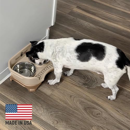 Express Mess Proof Dog Bowls Elevated for Small Breeds under 15 Lb (Small w/ Standard Bowls / Cappuccino)