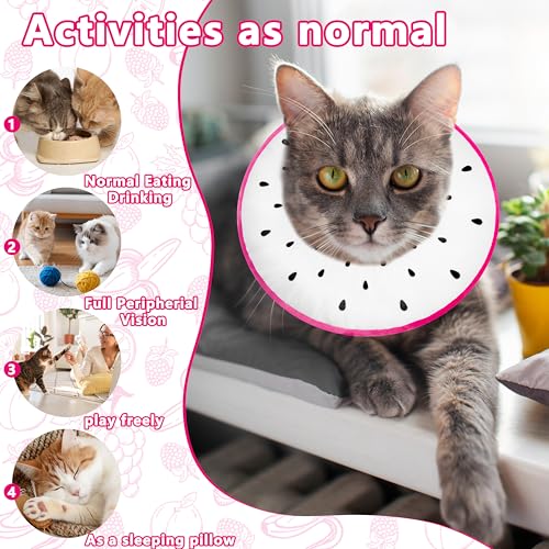 Cat Cone Collar Soft (Dragonfruit / Large)
