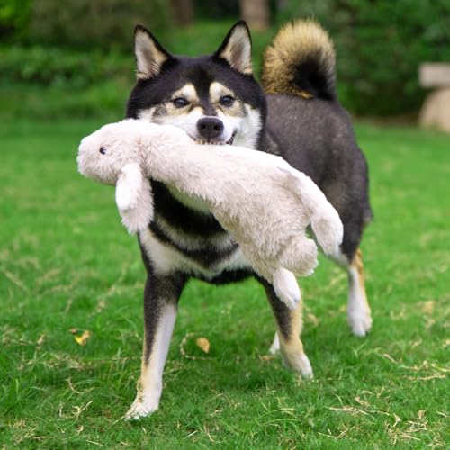 2-in-1 Stuffless Squeaky Dog Toy - Hare, Large (Brown/Hare / Large)