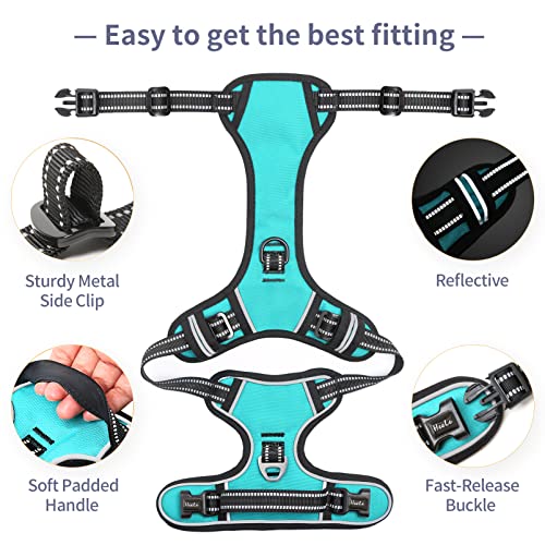 Dog Harness No Pull Adjustable Padded Reflective Harness for Small Medium Large Dogs with Handle for Walking Training (M / Turquoise)