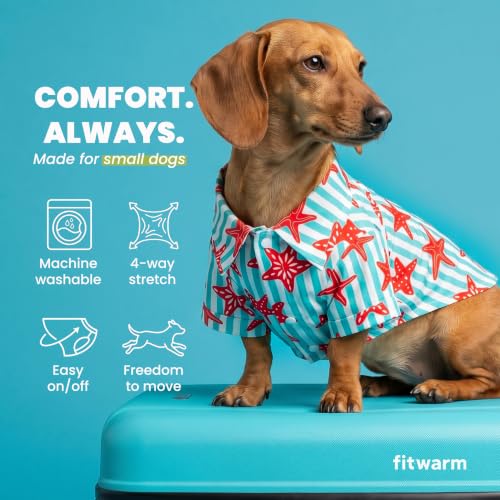 Starfish Striped Dog Shirt (XX-Large / Starfish)