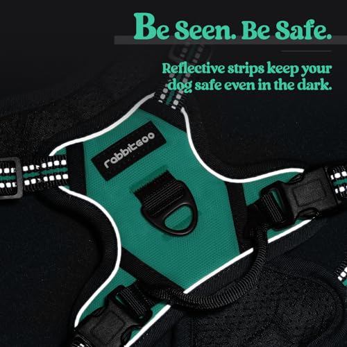Dog Harness No Pull for Small Dogs with 2 Leash Clips (X-Small / Turquoise)