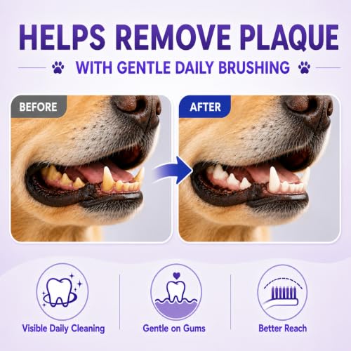 Dog Toothbrush (Blue / 1 Count (Pack of 1))