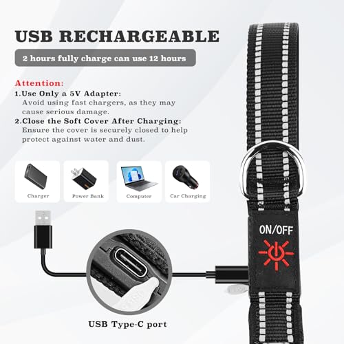 4 Ft LED Dog Leash (4 Ft)