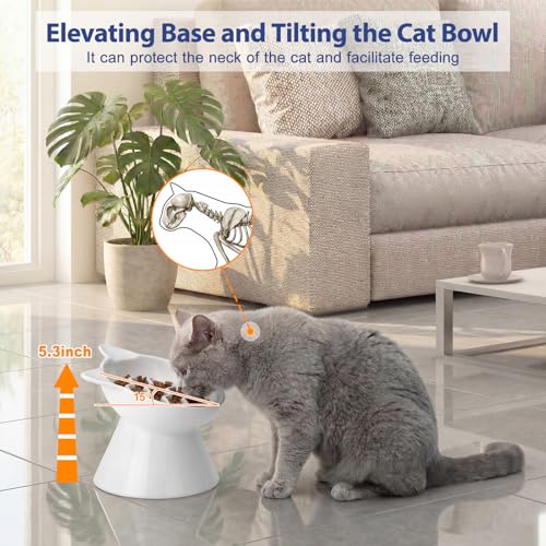 Ceramic Slow Feeder Cat Bowl (White-Cute kitten / 2 Cups)