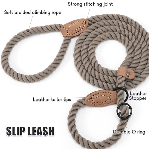 Heavy Duty Slip Lead No Pull Leash w Leather (Camel / 6 Feet)