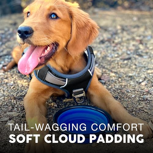 Embark No Pull Dog Harness (L / Black)