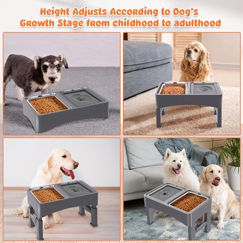 2-in-1 Elevated Dog Bowls with 4 Height Adjustable Raised Stand (2-in-1 Grey)