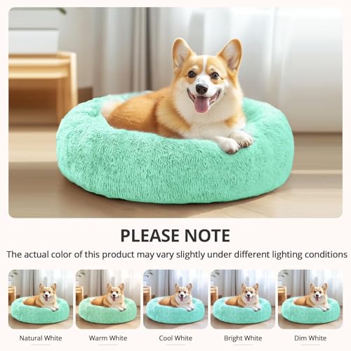 Calming Small Dog & Cat Bed for Indoor Cats (Mint Green / 20.0"L x 20.0"W x 6.0"Th)