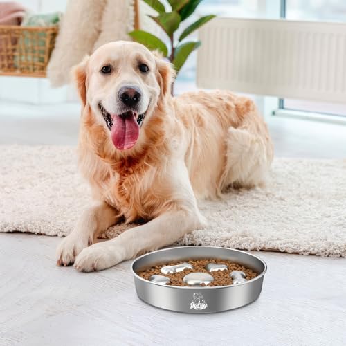 2Pcs Slow Feeder Dog Bowls (5 Cups / Silver/2 Pack)