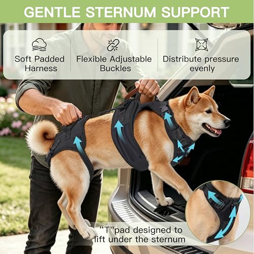 Dog Lift Harness for Male Dogs